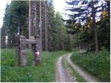 Koglereck - Kleiner Speikkogel (Golica / Koralpe)